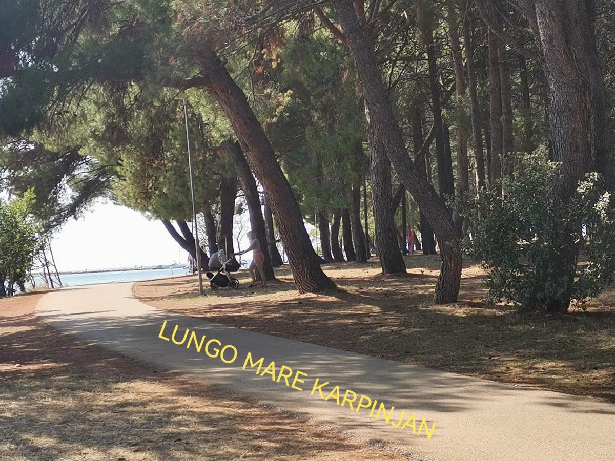 Apartman Hola Novigrad Istria Extérieur photo